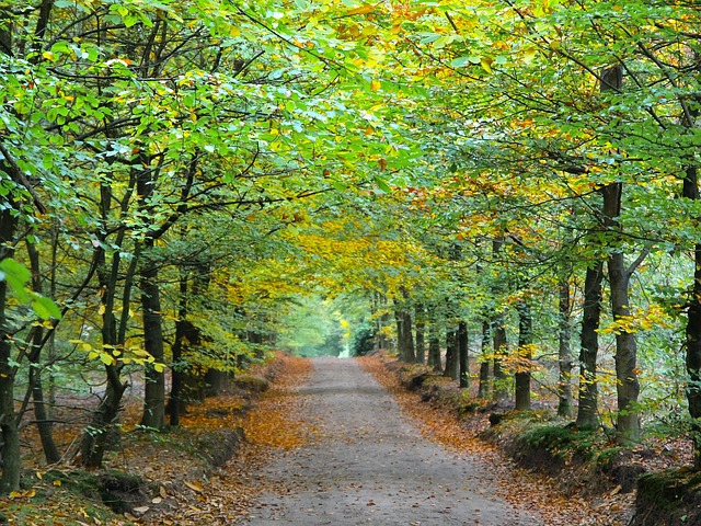 가족과 함께 걷기 좋은 힐링 코스, 전국 숲길 TOP10