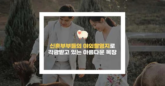 남해양떼목장 양모리학교