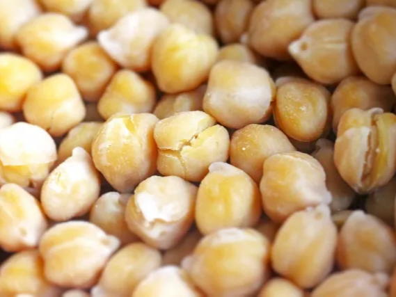 소화가 잘 되는 병아리콩