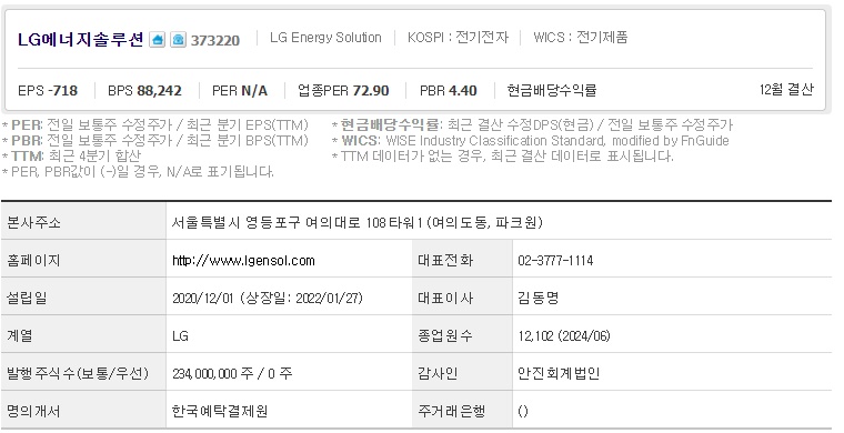 LG에너지솔루션 기업개요 (0902)