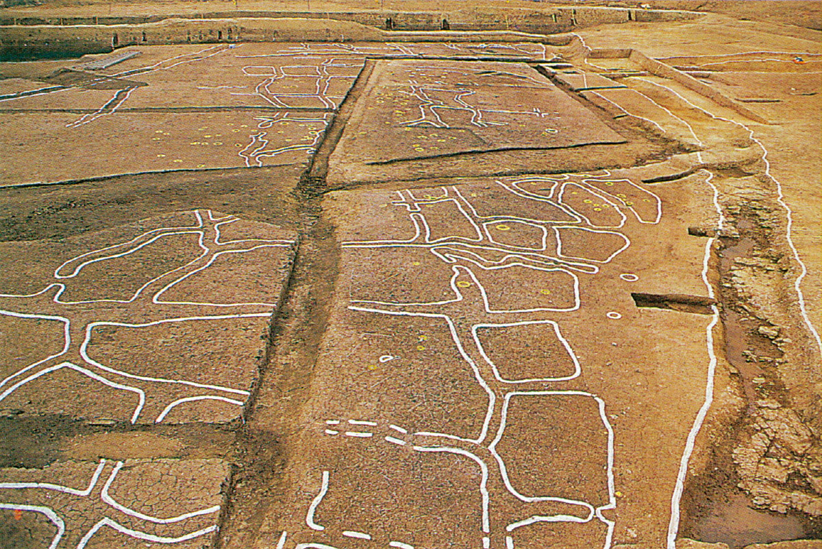 무거동 옥현 유적의 논
