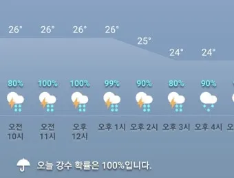 시간별 예보 체감온도 산책 코스 외출 준비물 점검_28
