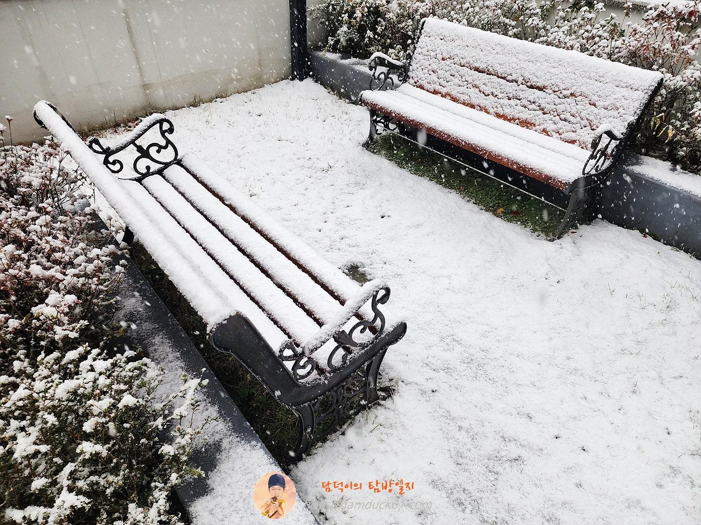 폭설 (2024년 11월 27일)