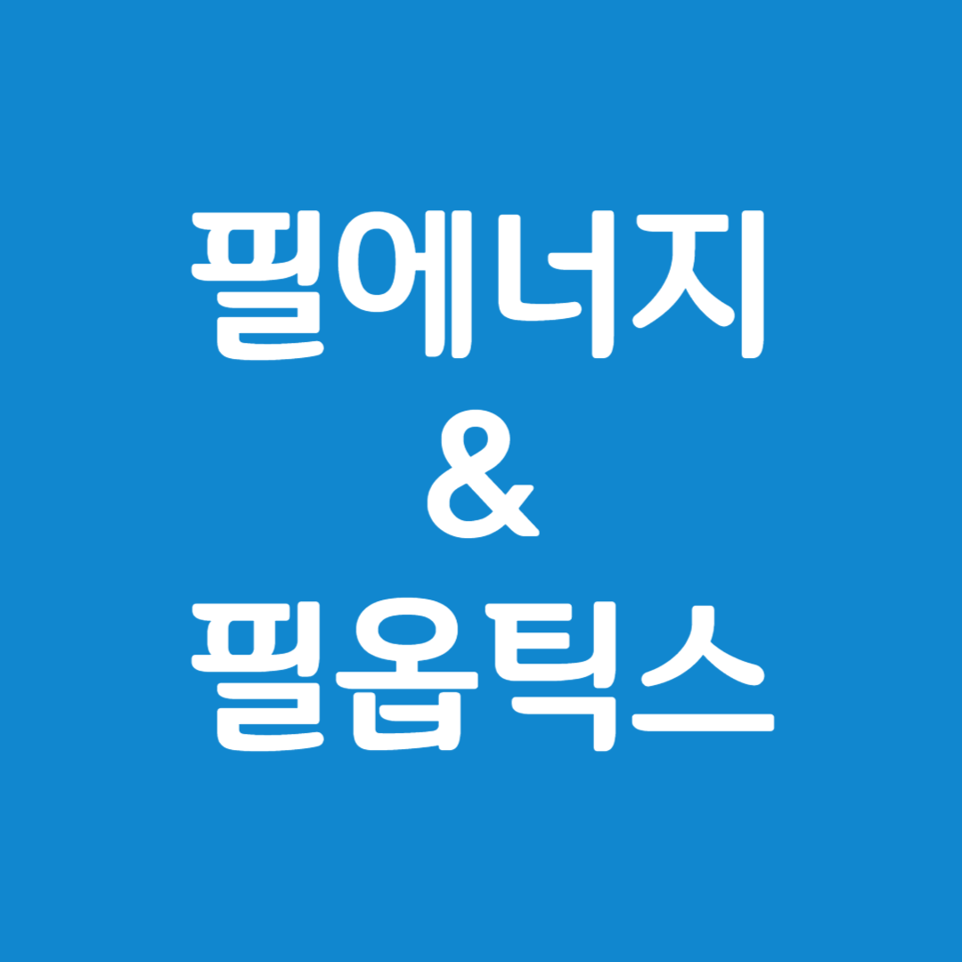 필옵틱스 주가상승의 비밀(필에너지의 최대주주)