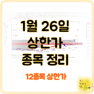 1월 26일 상한가