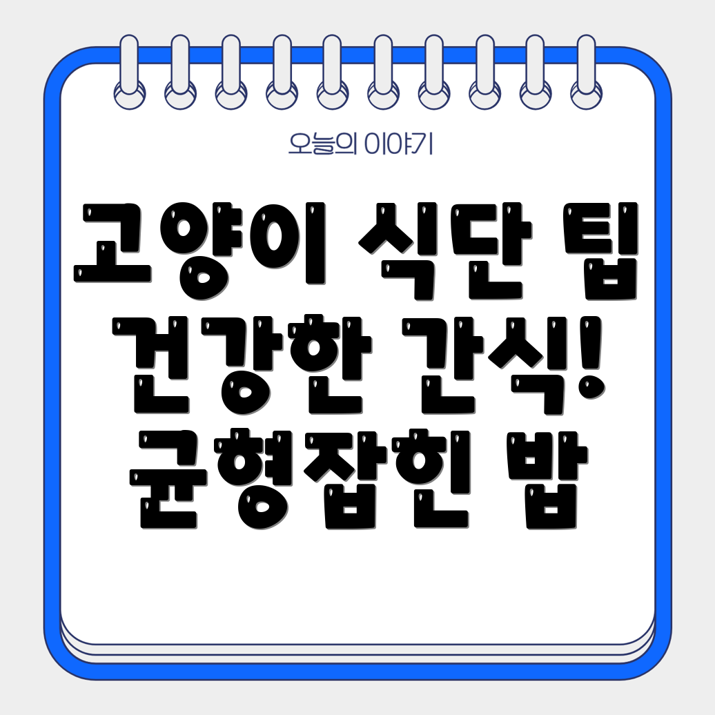 고양이를 건강하게 유지하는 균형 잡힌 식단