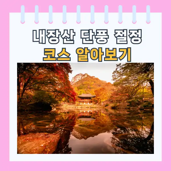 내장산 단풍 코스 알아보기