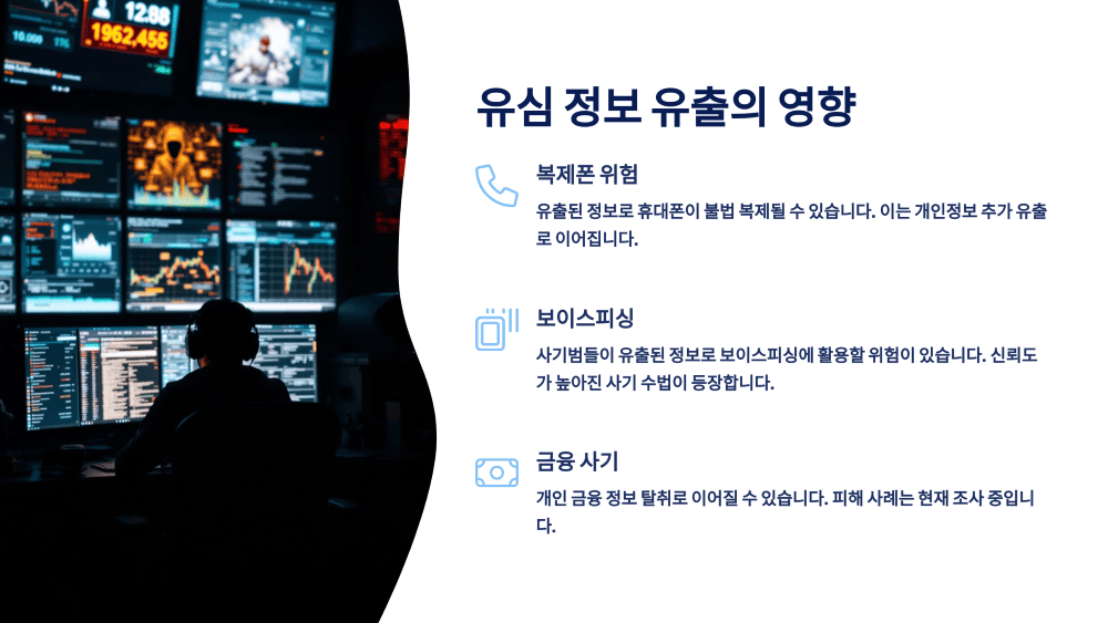 유심 정보 유출의 영향