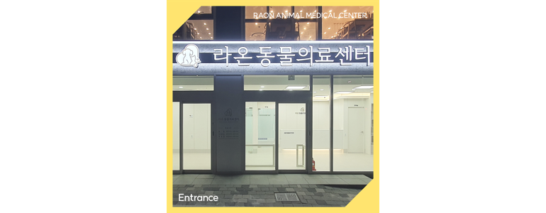 당진시 동물병원