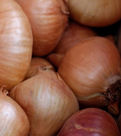 양파 효능 사진36