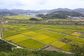 농지은행 농지 임대수탁 신청방법