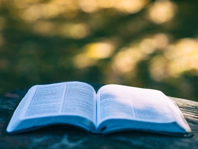 경기도 독서포인트제 신청｜책 읽고 지역화폐 받기
