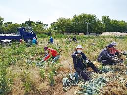 농업 일자리 사이트