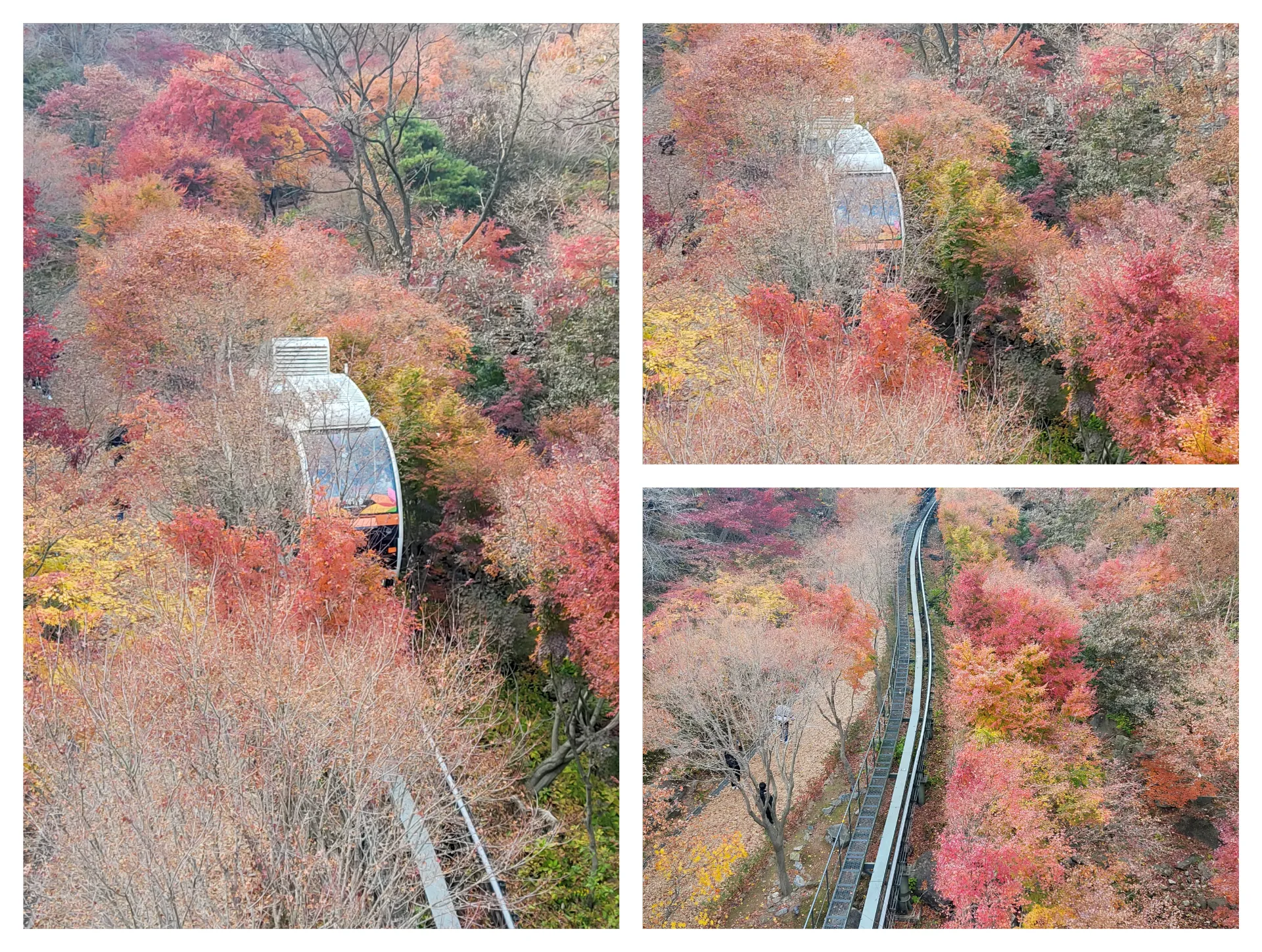 가을 화담숲
