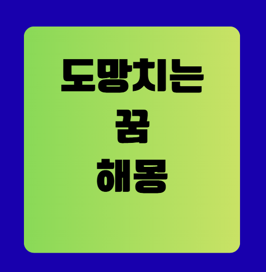 도망치는 꿈 해몽 풀이(무료꿈해몽풀이)