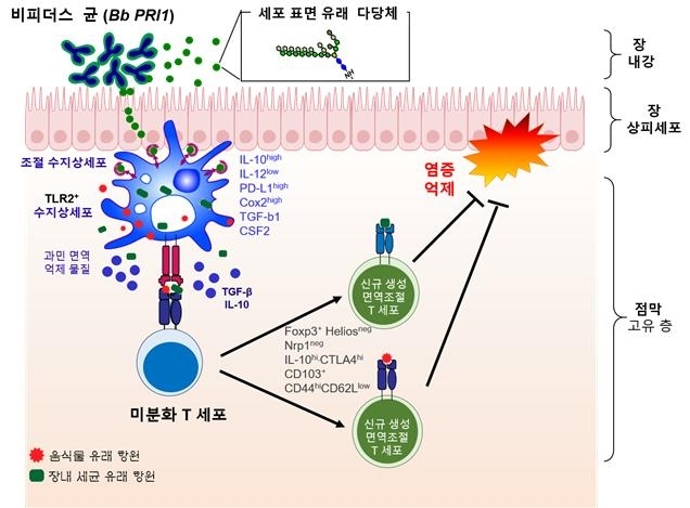 프로바이오틱스