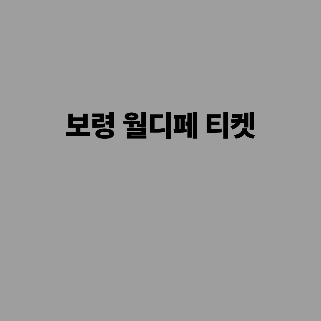 보령 월디페 티켓