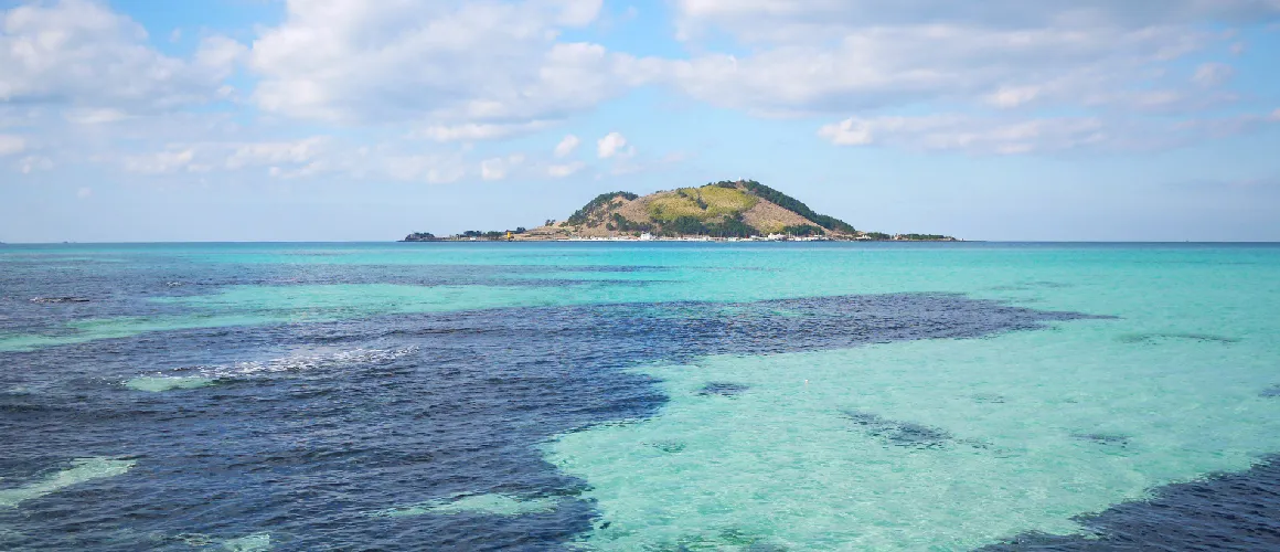 제주 협재 맛집 추천 카페와 브런치 맛집 포함_3