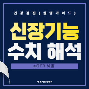 eGFR 낮음 신장 기능 수치 해석&middot;대응(2025 설명형 가이드)