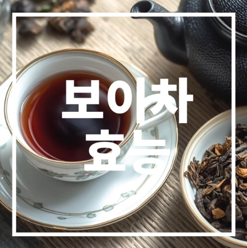 보이차 효능