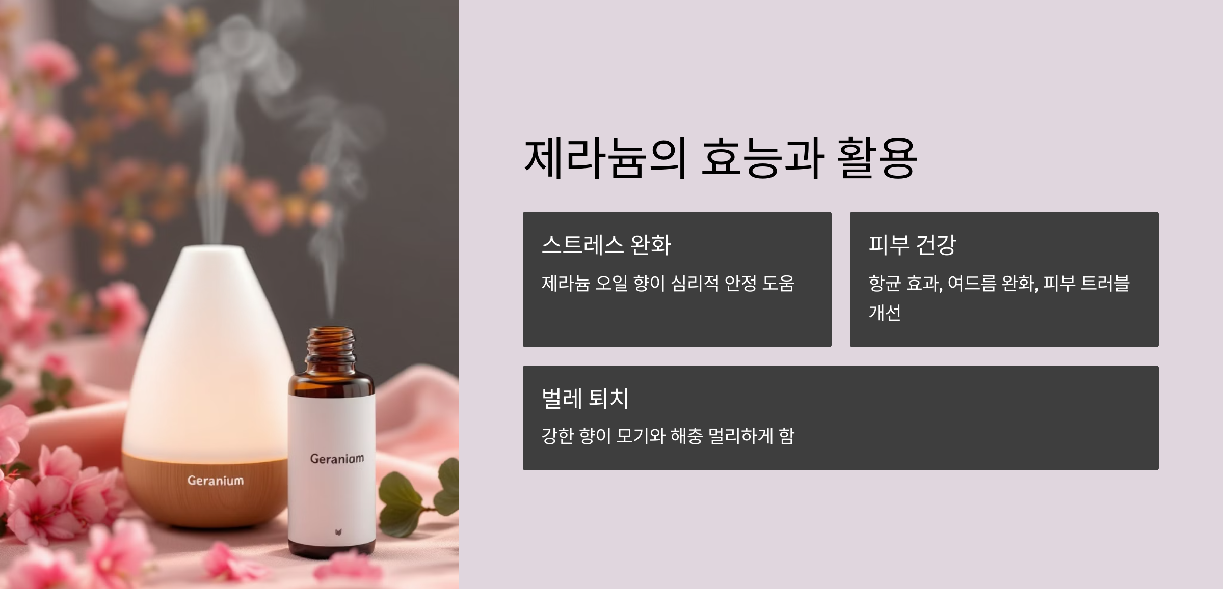 제라늄