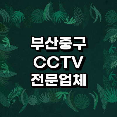 부산 중구 cctv