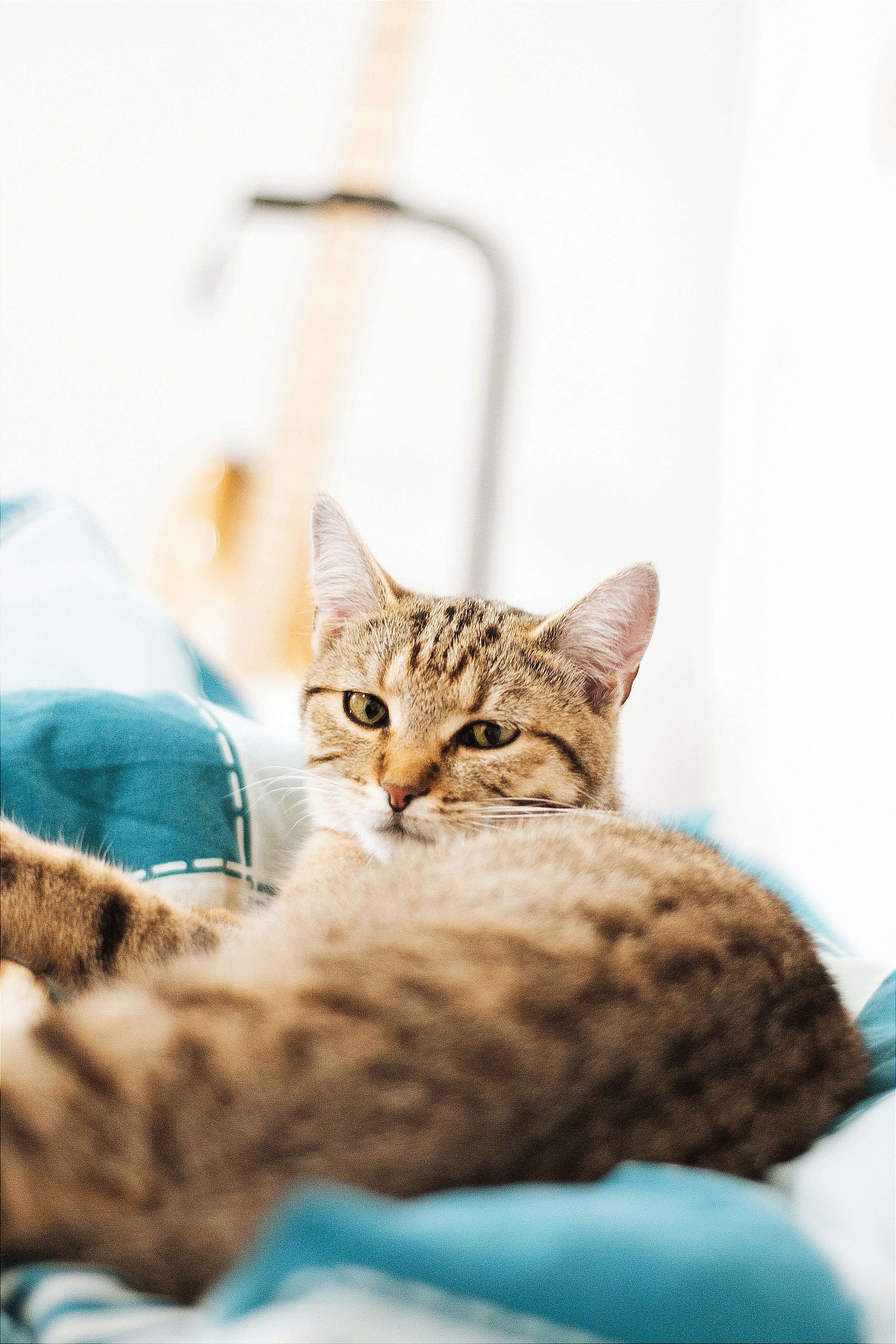 보험 리뉴얼 할 때 반드시 확인해야 할 5가지 │ 이 조건 놓치면 보험료 폭등합니다