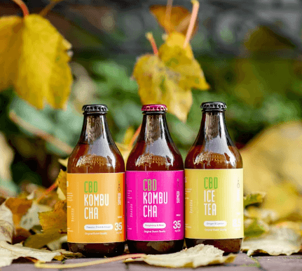 콤부차 효능 - 종류