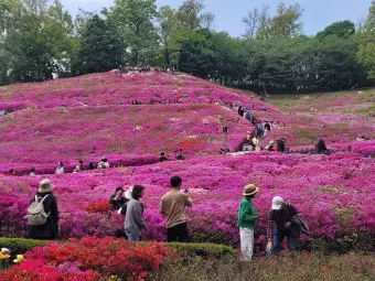 군포 가볼만한곳 베스트10 현지인 추천 필수코스_24