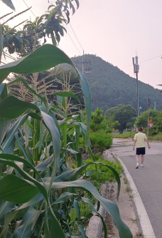 동네-한바퀴-좋아라하는-우리-언니