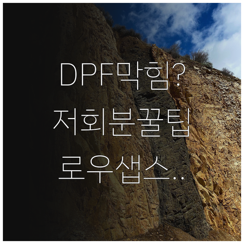 DPF 막힘 방지하는 저회분 오일 L..