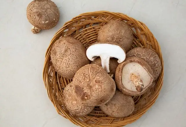 표고버섯