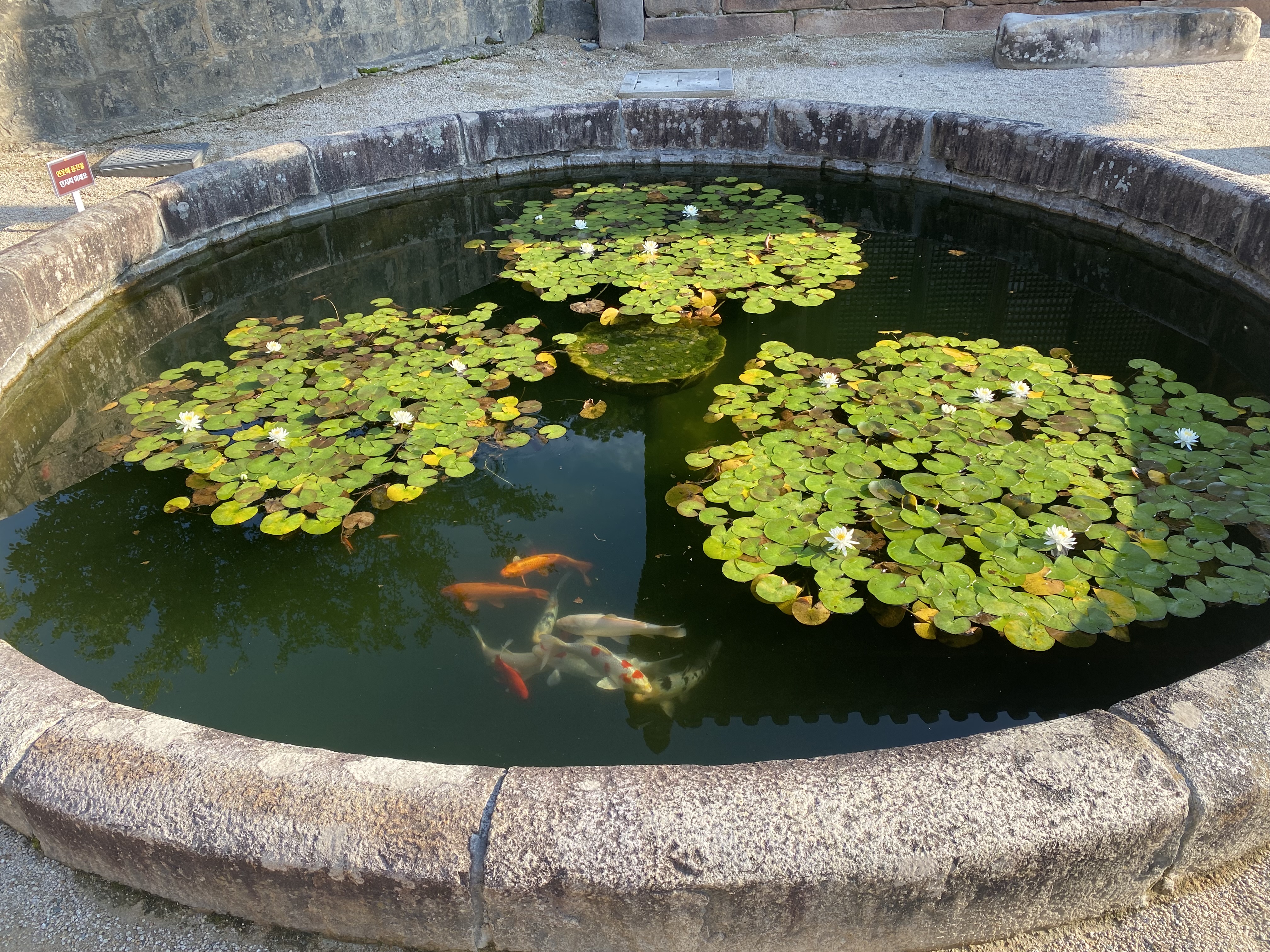 통도사 여행 후기