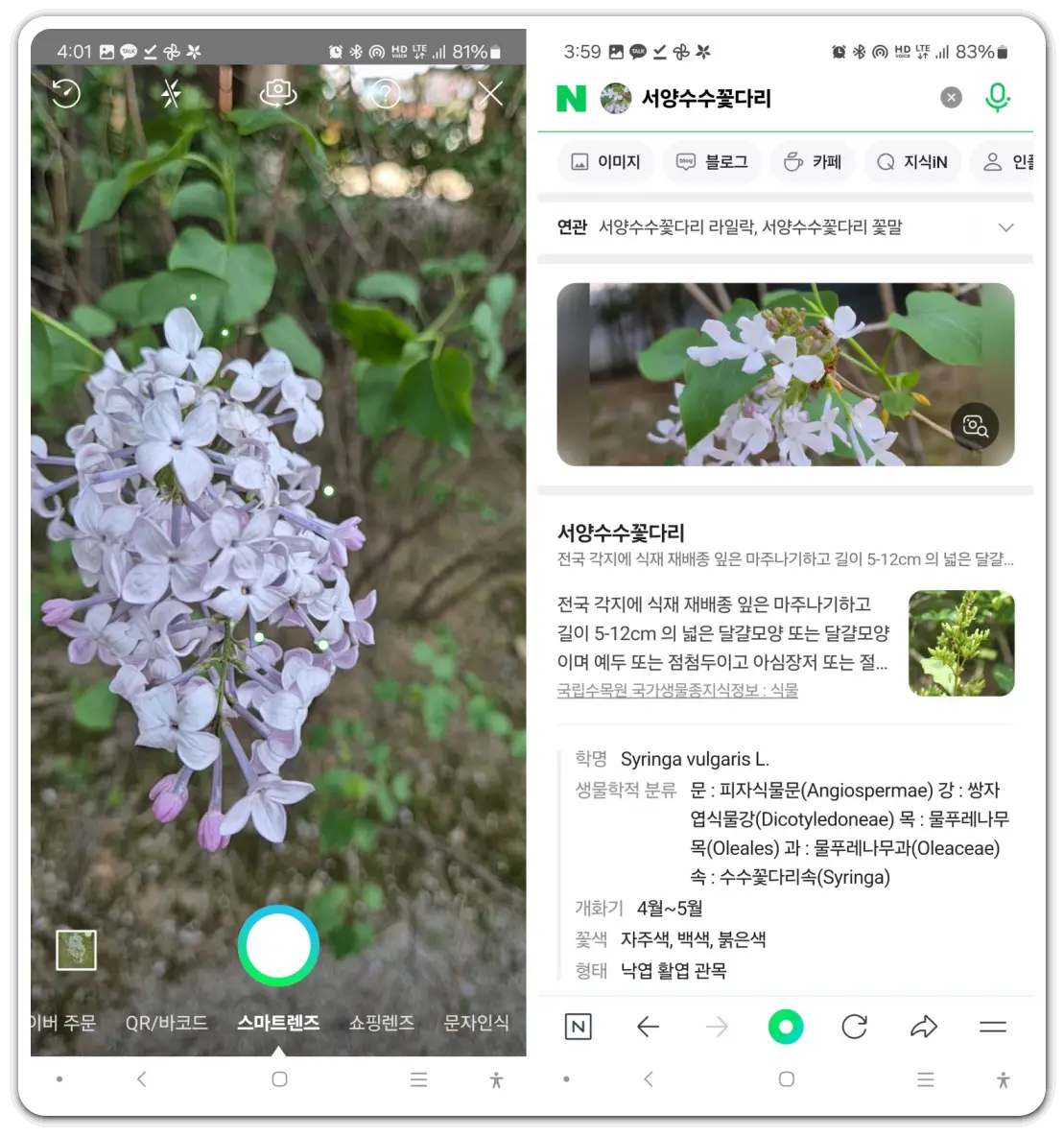 사진으로-꽃-검색-이름-찾기-방법