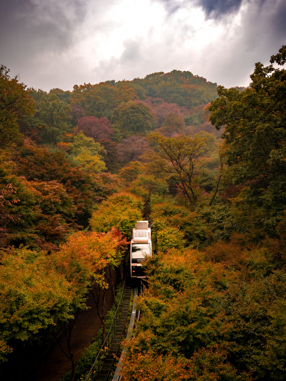 화담숲 단풍축제