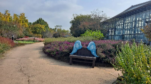 화성_우리꽃식물원_국화전시회