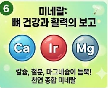 민들레 효능