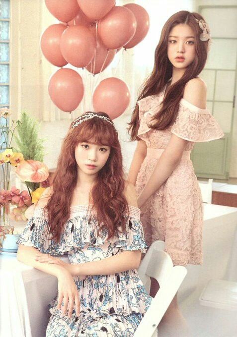 아이즈원 프로듀스48 사진 모음