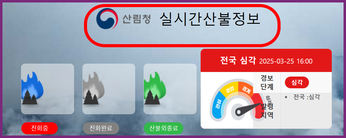 실시간-산불-진화율-확인하기