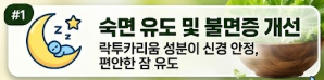 상추 효능