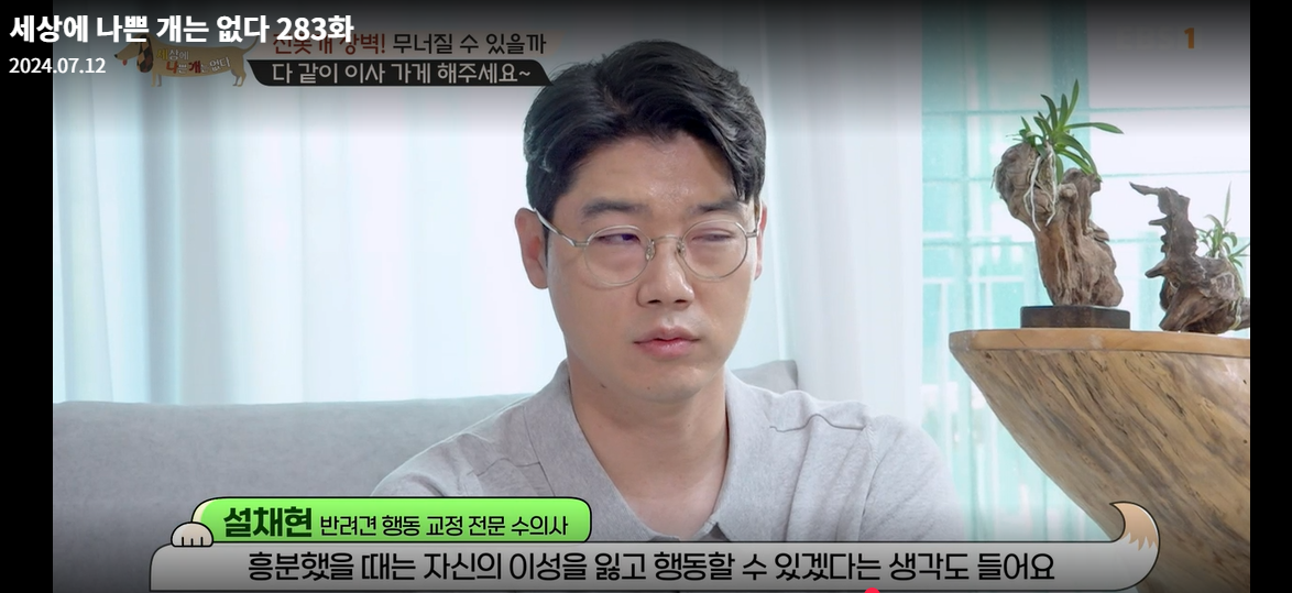 설채현-세상에나쁜개는없다-세나개-283화-진돗개장벽-재방송