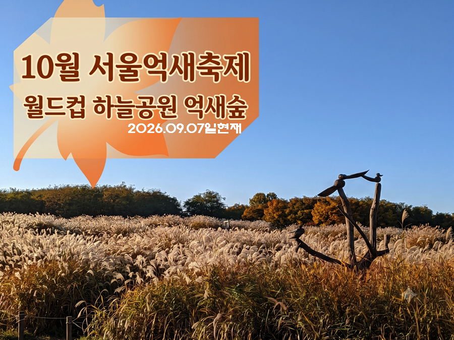 억새축제-썸네일