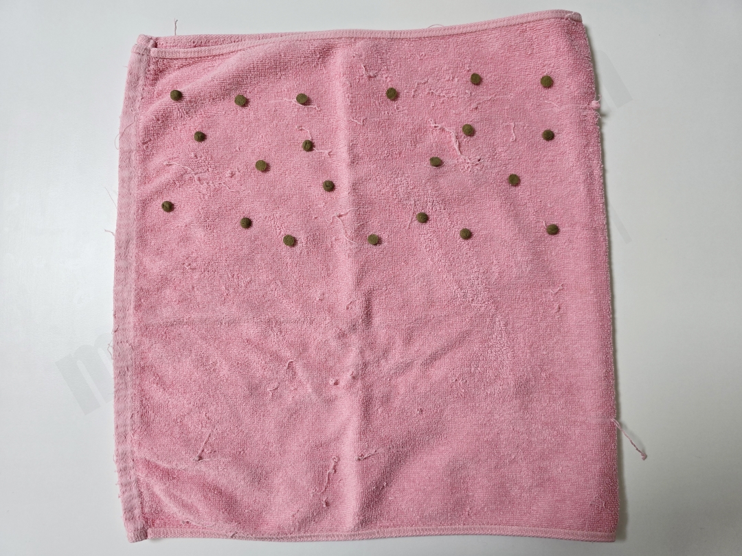 강아지 간식을 올려 놓고 반을 접은 수건