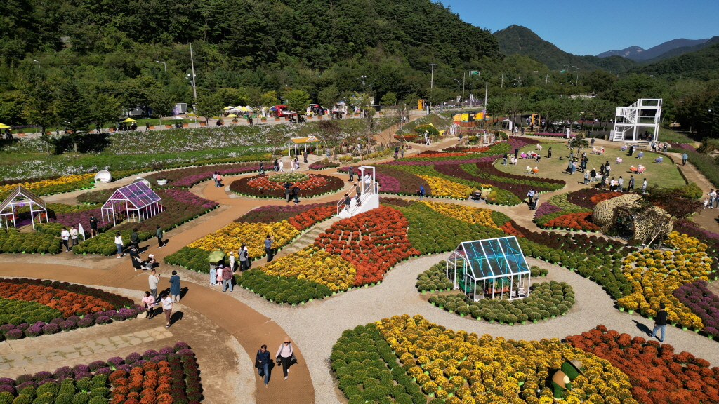 가을나들이 추천 인제가을꽃축제