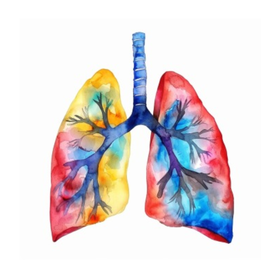 폐암과 관련된 사진입니다.