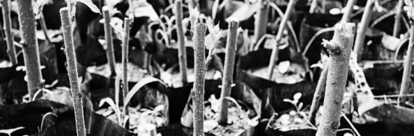 항상 촉촉하게 유지