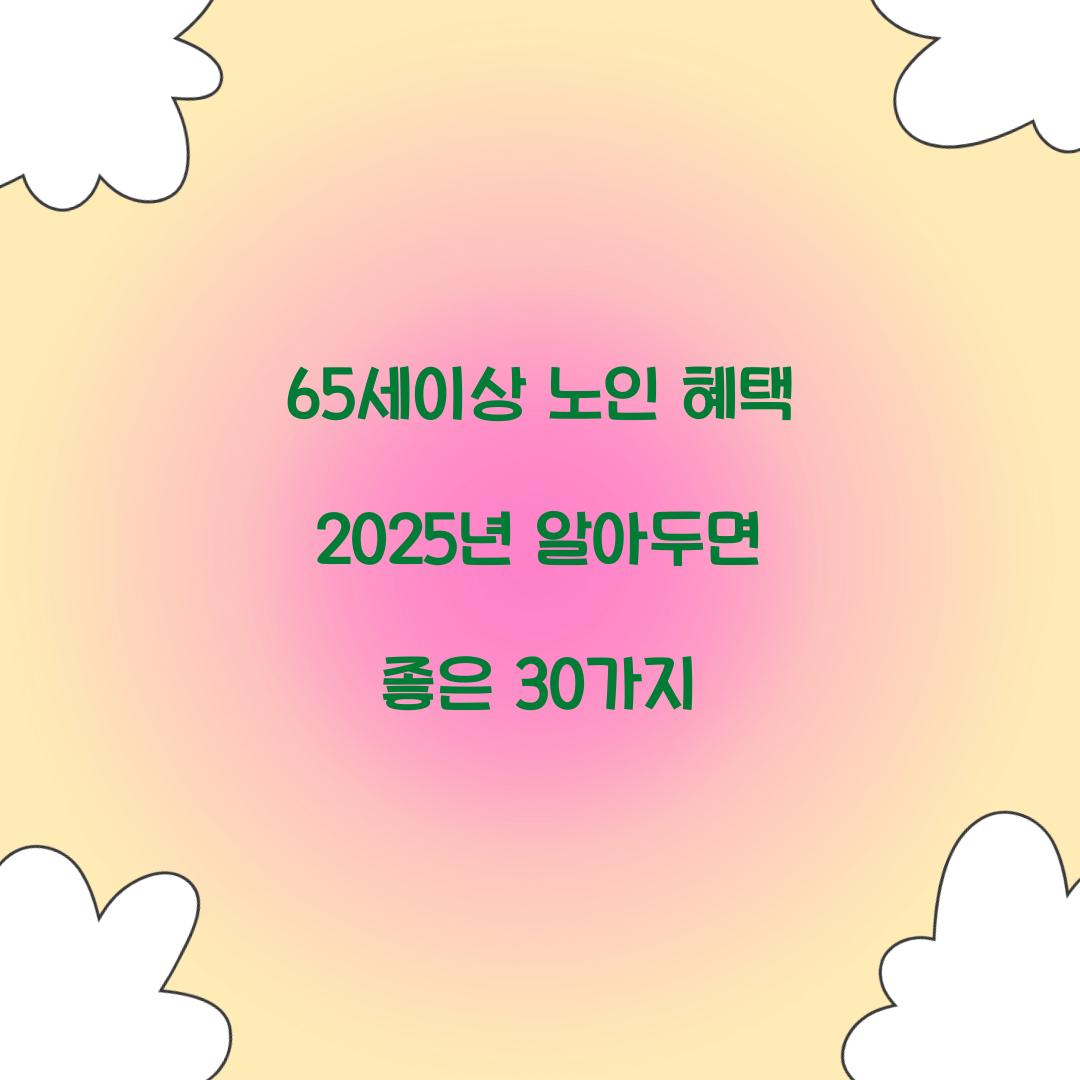 65세이상 노인 혜택