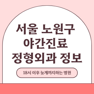 서울 노원구 야간진료 정형외과 병원 (18시 이후 늦게까지하는 병원)