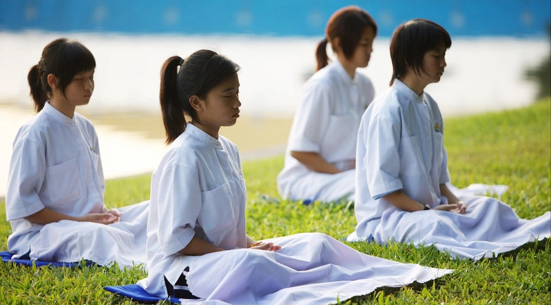 65세 이상 정부지원 혜택과 효과적인 이용 방법