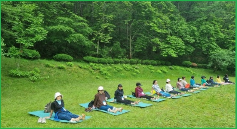 서울대 안양수목원 숲해설